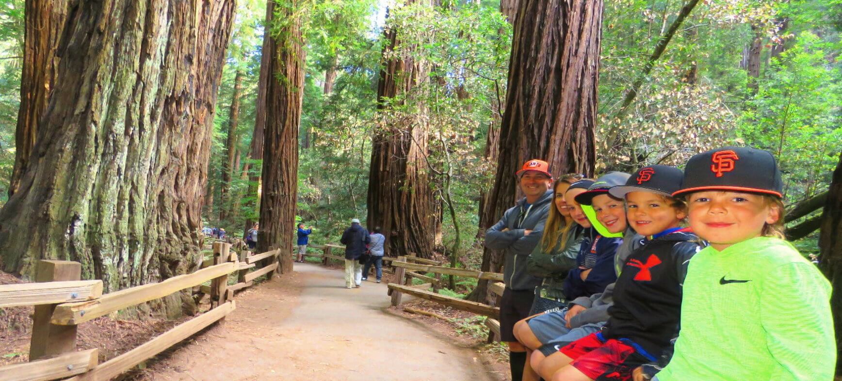 Muir-Woods -Park-Giant-Redwood-Trees
